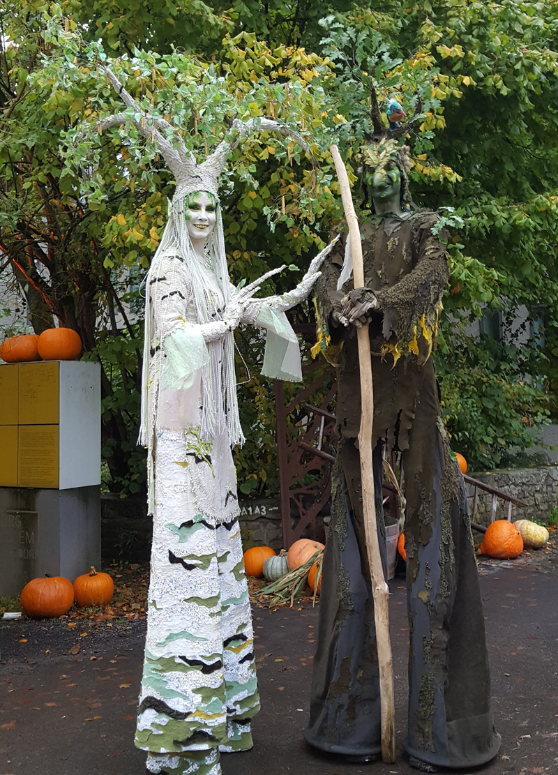 Herbstmarkt 2017 mit Birke und Vogelbaum