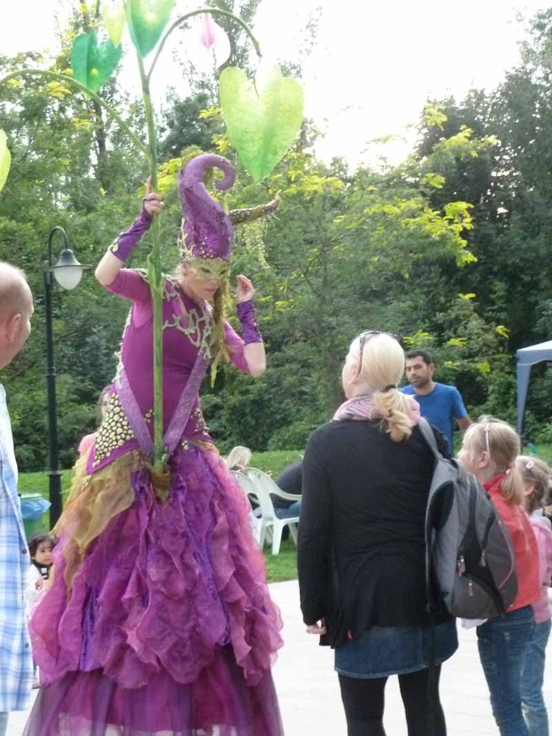 Waldlichträgerin pantao, Traumfee mit Wunschbaum, Tropennacht Zoopark Erfurt