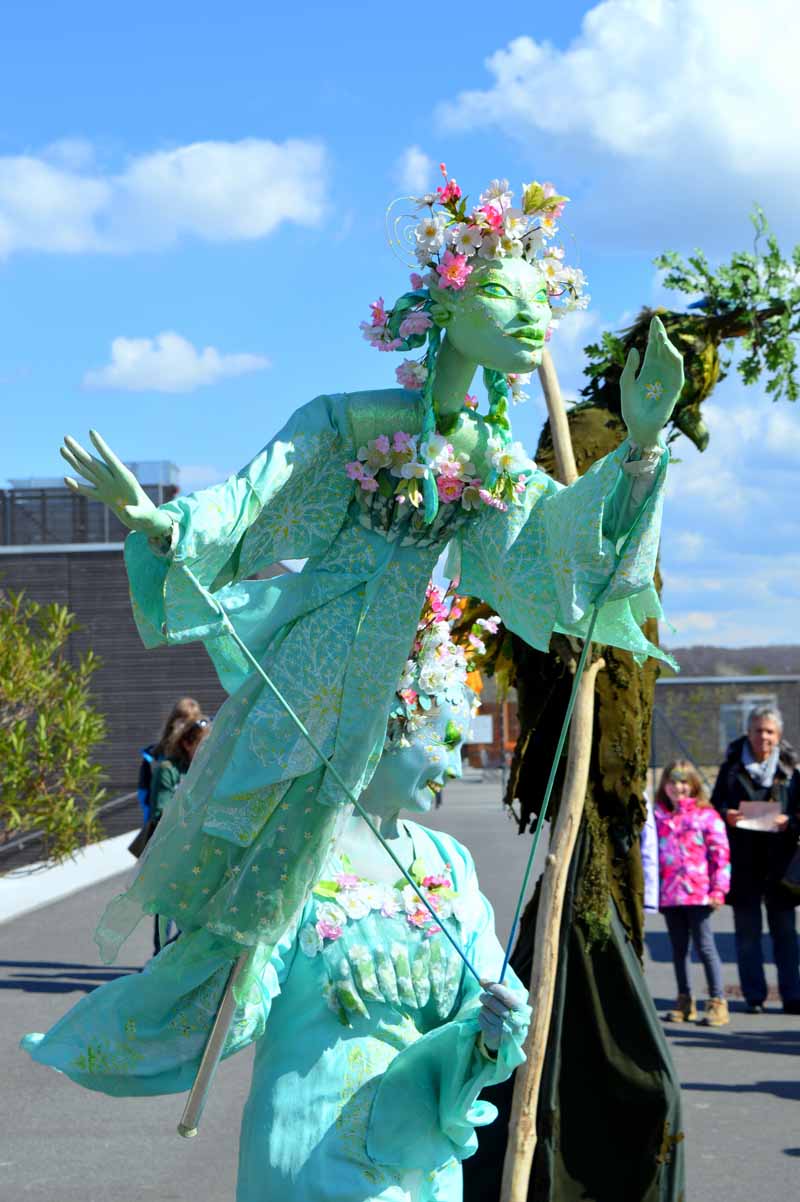 Tulpenfest, Zülpicher Seepark.