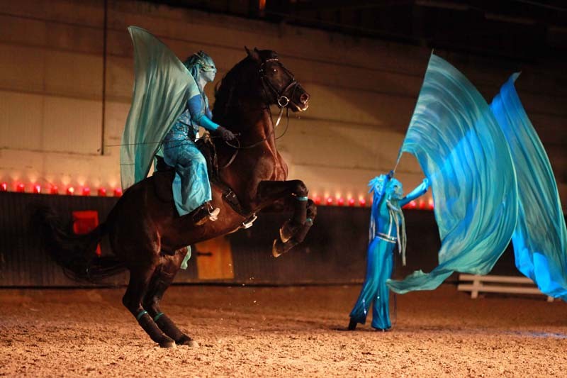 Wassermann Pantao, Pferdeshow Aachen, Fahnentanz