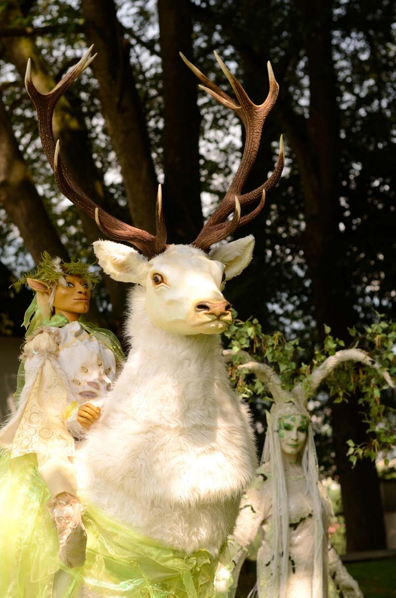 Weißer Hirsch und Birke, Schloss-Park-Fest Österreich, Pantao