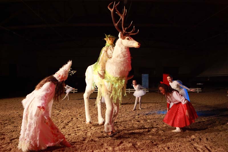 Weißer Hirsch und Tänzerinnen, Pferdeshow Aachen, Pantao Weihnachtsmärchen